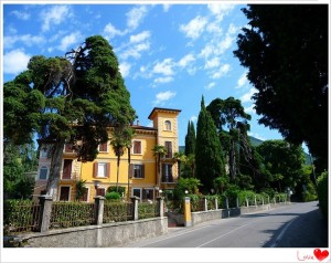 Cheap Security Powder coated galvanized  Villa  Metal Fence